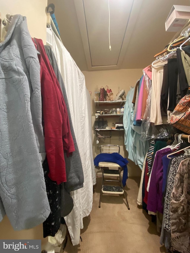 spacious closet with light carpet and attic access