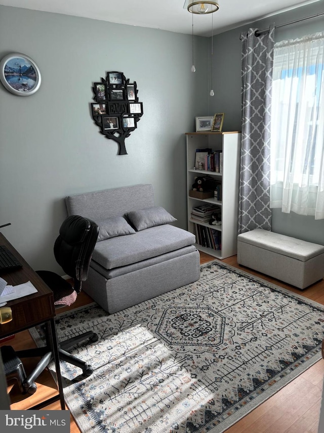 living room featuring hardwood / wood-style floors