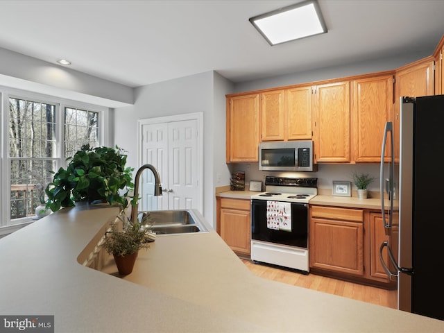 kitchen featuring stainless steel appliances, light hardwood / wood-style floors, and sink