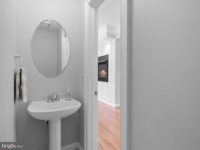 bathroom with sink and hardwood / wood-style flooring