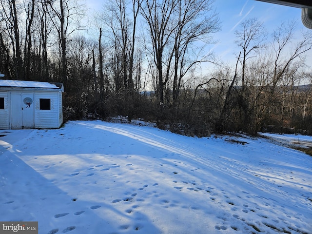 view of yard covered in snow