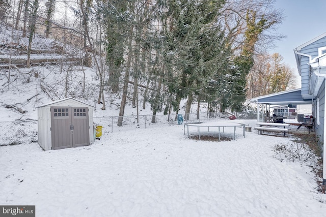 snowy yard with a storage unit and a trampoline