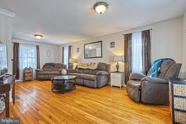 living room featuring light hardwood / wood-style floors