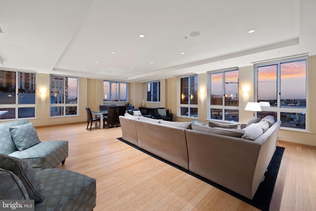 living room with a tray ceiling and light hardwood / wood-style flooring