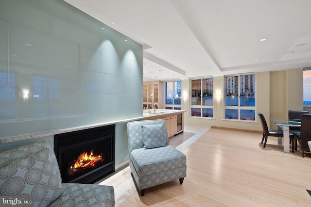 interior space featuring sink and light wood-type flooring