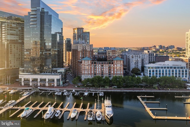 view of city featuring a water view