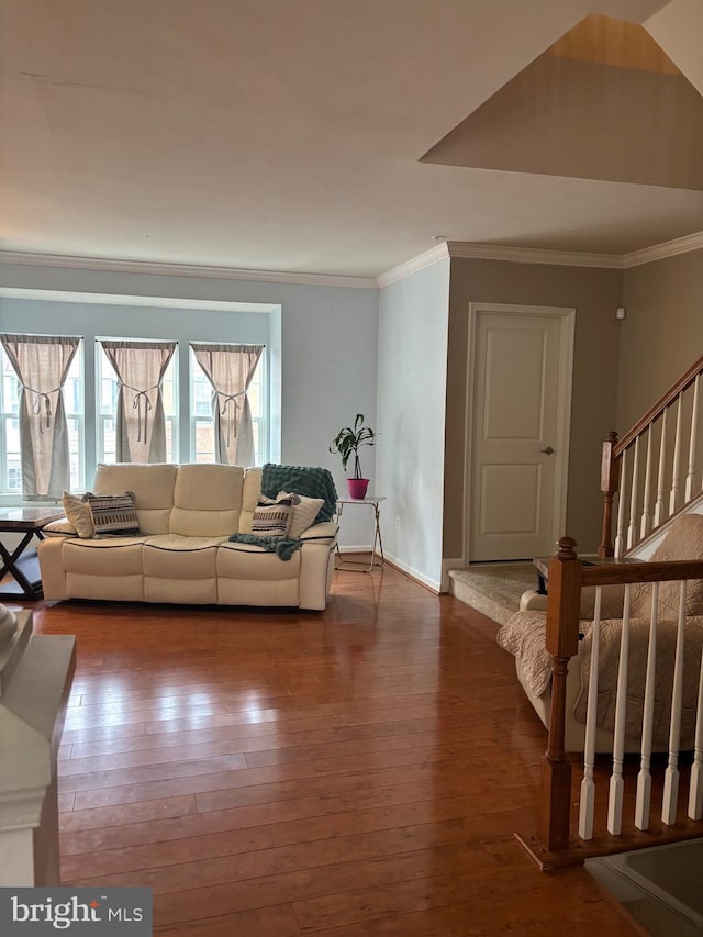 living room with crown molding and wood-type flooring