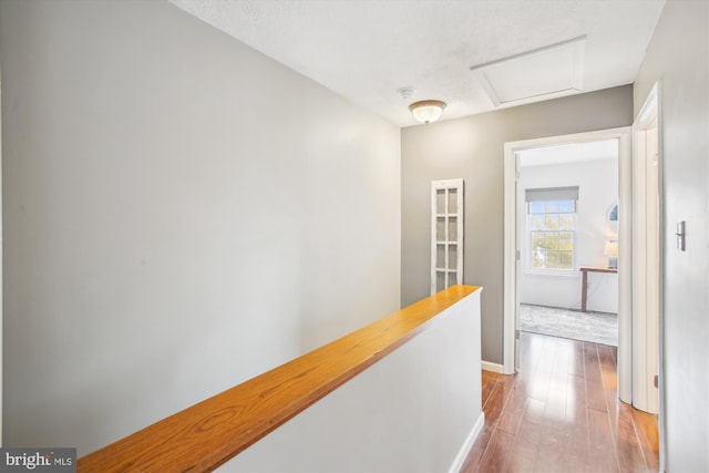 corridor with hardwood / wood-style floors