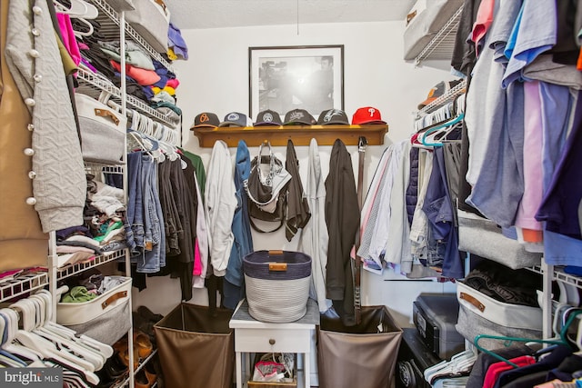 view of walk in closet