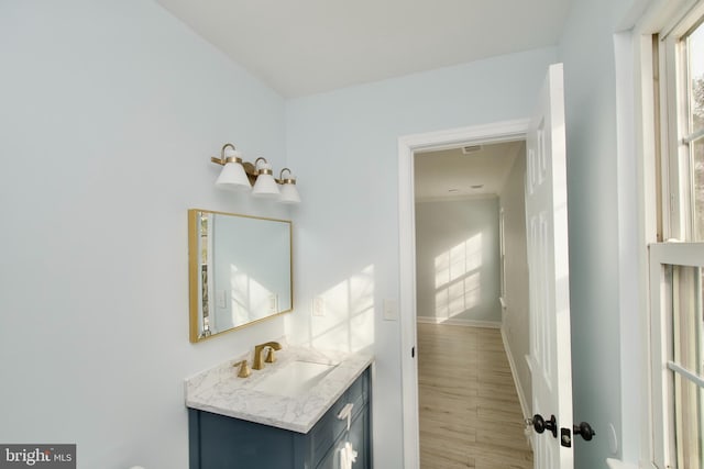 bathroom featuring vanity and wood-type flooring