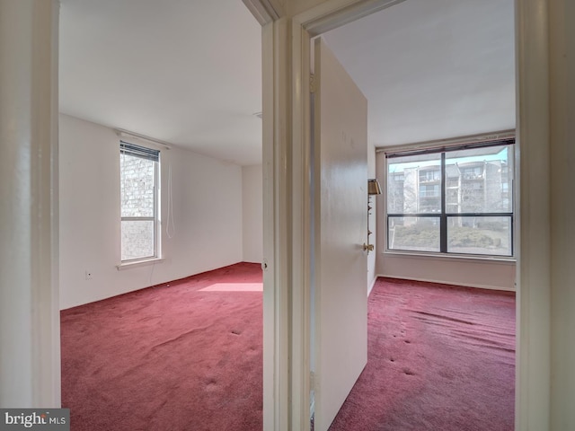 corridor with light colored carpet and a healthy amount of sunlight