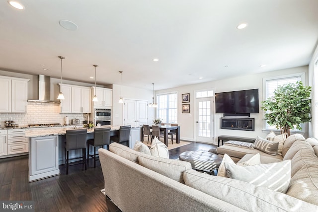 living room featuring dark hardwood / wood-style floors