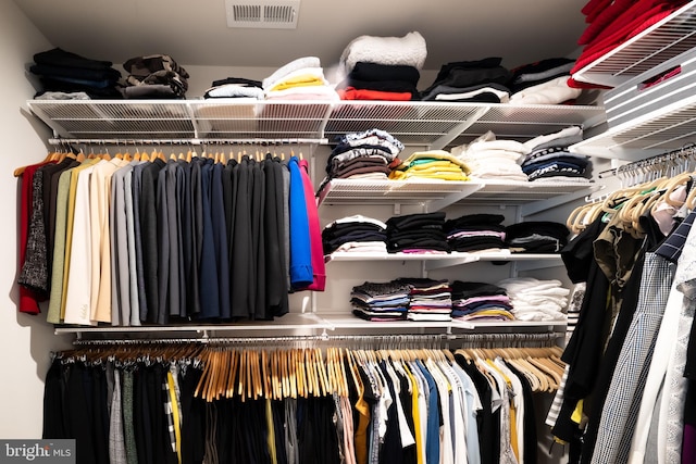 view of spacious closet