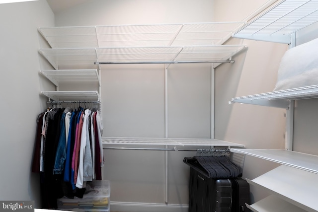 view of spacious closet