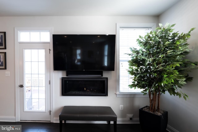 living room with dark hardwood / wood-style flooring