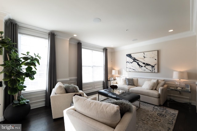 living room featuring crown molding and dark hardwood / wood-style flooring