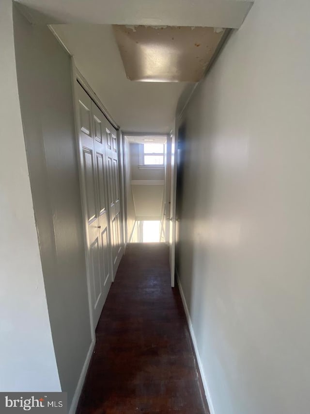 hall with dark hardwood / wood-style flooring