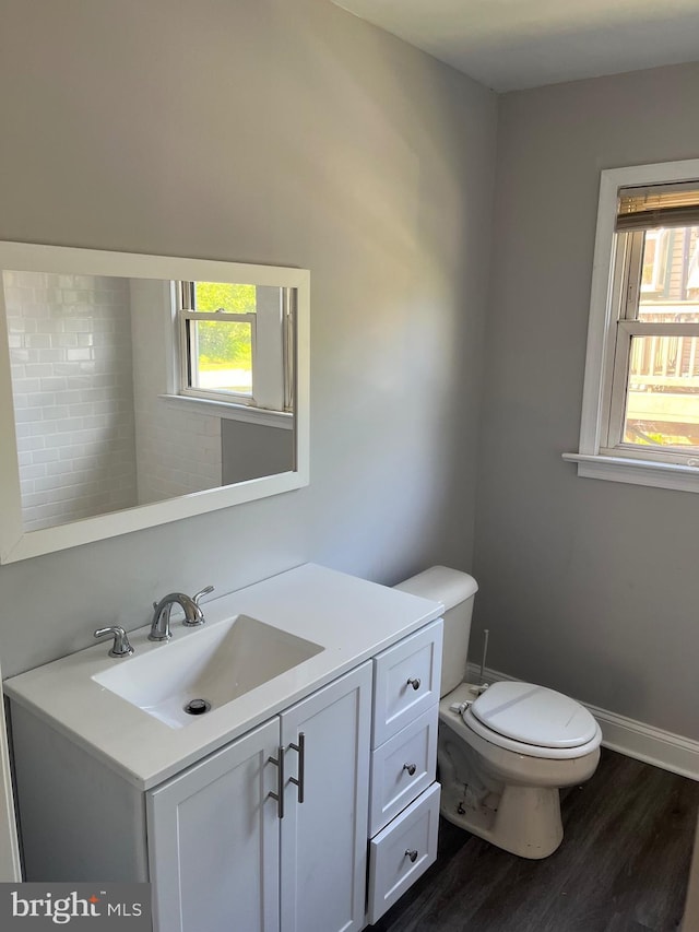 bathroom with vanity, wood-type flooring, and toilet