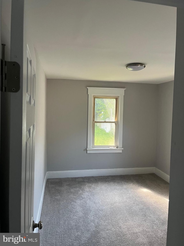 unfurnished room featuring carpet