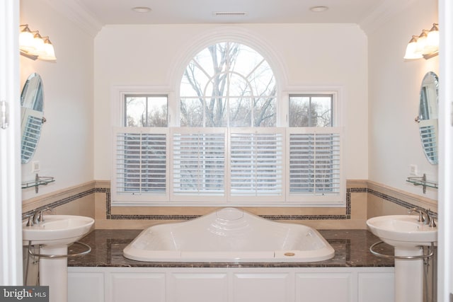 bathroom featuring double sink, ornamental molding, and a healthy amount of sunlight