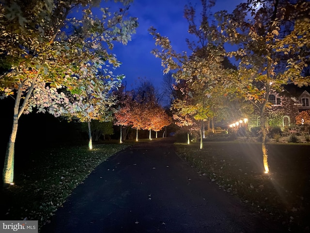 view of yard at night