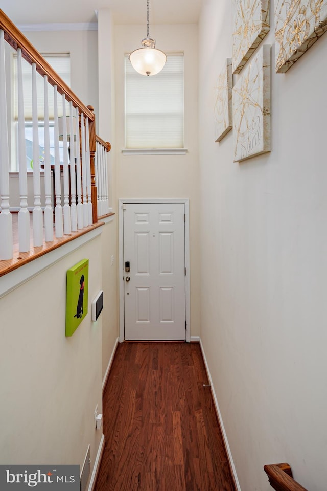 doorway to outside featuring a healthy amount of sunlight and dark hardwood / wood-style flooring