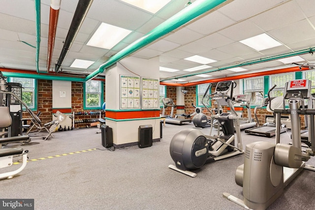 workout area with brick wall, carpet, and a drop ceiling