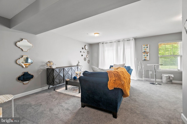 view of carpeted living room