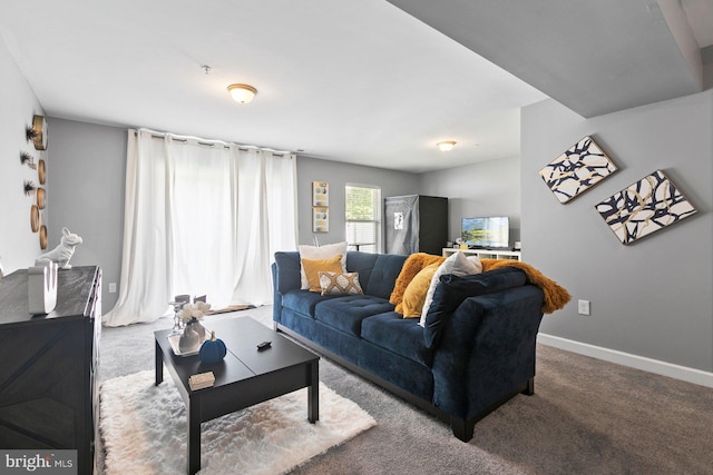 living room featuring carpet flooring