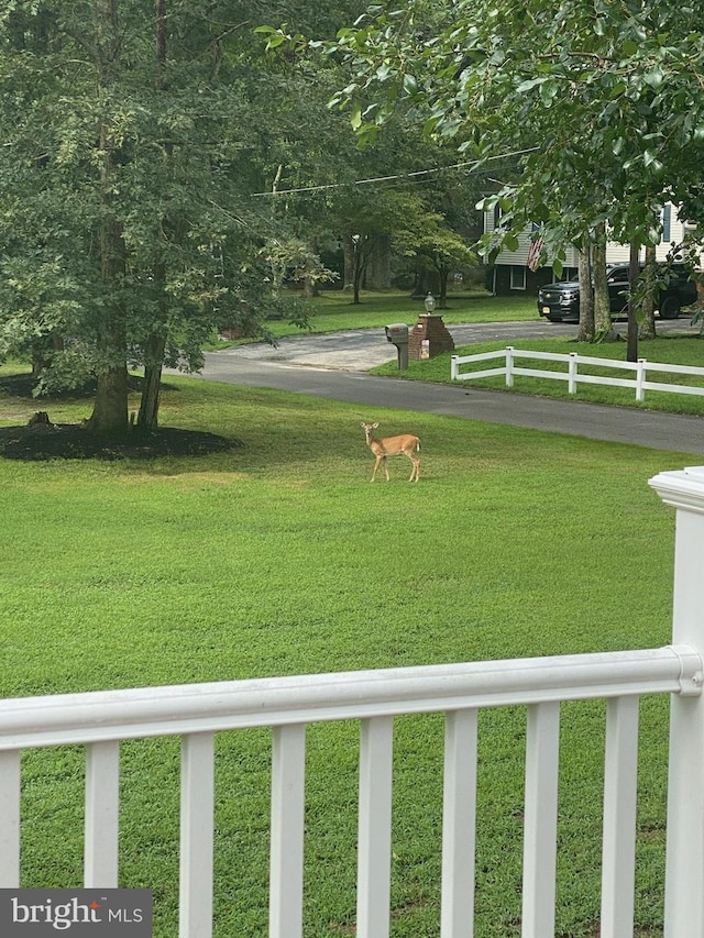 view of yard