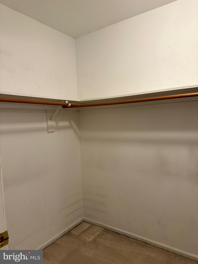 spacious closet with light carpet