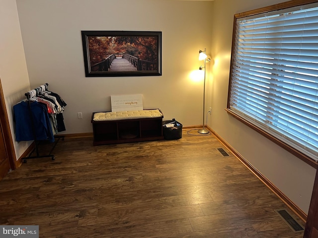 living area featuring dark wood-type flooring