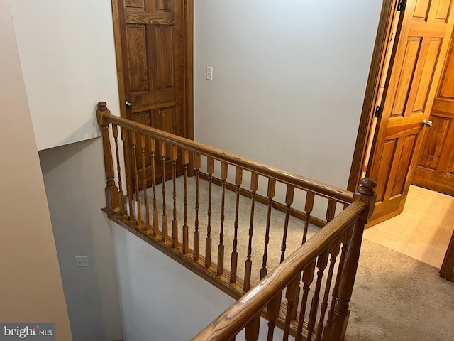 staircase featuring carpet flooring