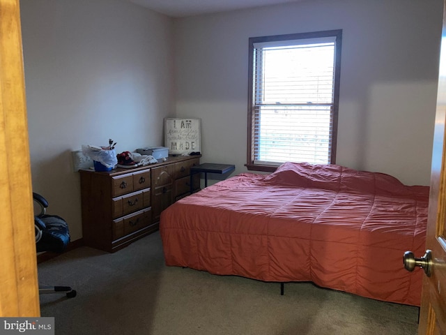 carpeted bedroom with multiple windows