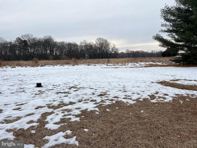 view of snowy yard