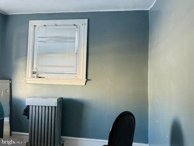 room details with radiator