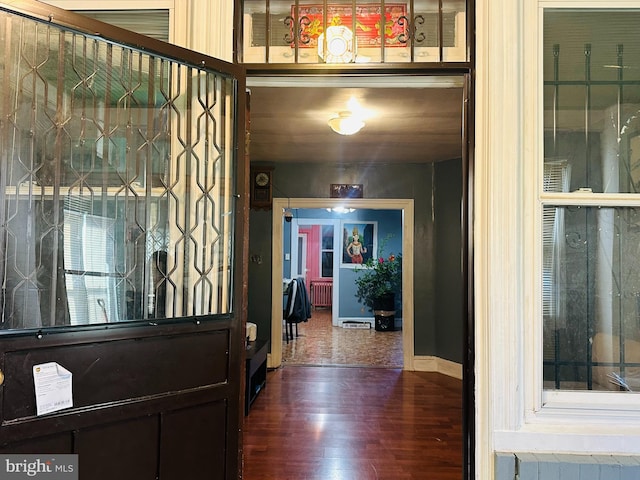 entrance foyer featuring dark wood-type flooring