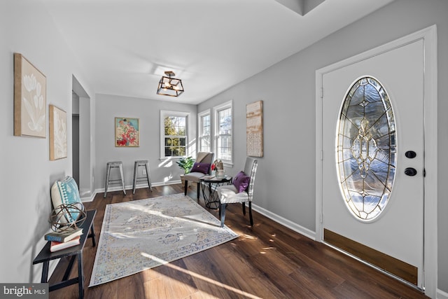 foyer entrance featuring dark hardwood / wood-style flooring