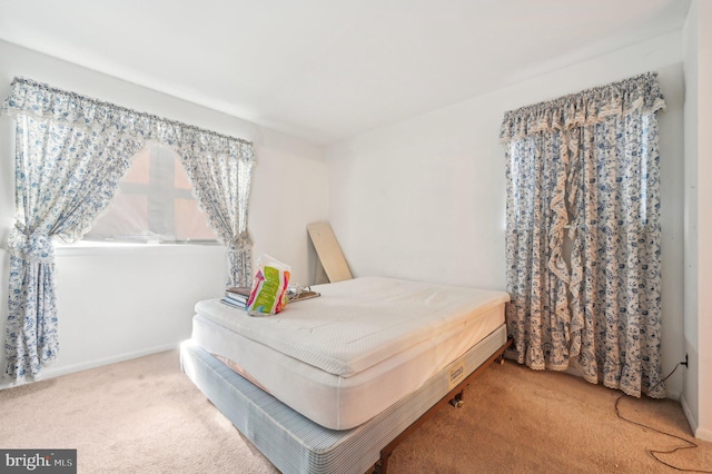 bedroom with carpet floors