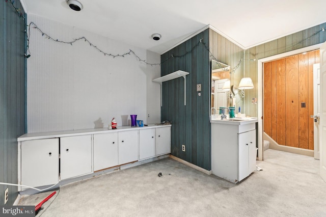 bathroom featuring sink and wooden walls