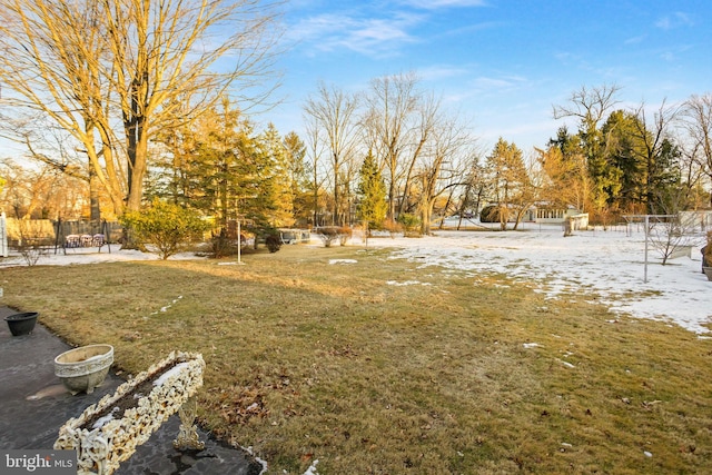 view of snowy yard