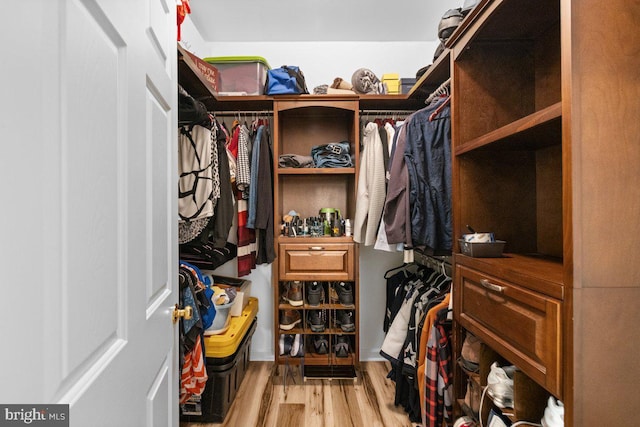 spacious closet with light hardwood / wood-style flooring