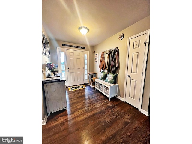 foyer entrance with dark hardwood / wood-style flooring