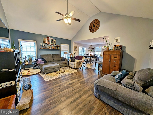 living room with wood-type flooring, a healthy amount of sunlight, and high vaulted ceiling