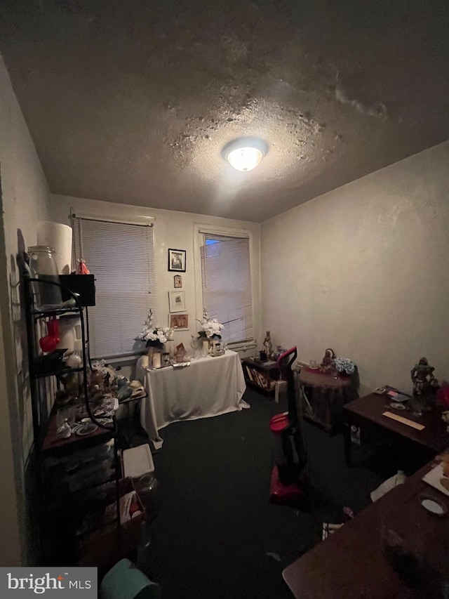 miscellaneous room featuring a textured ceiling