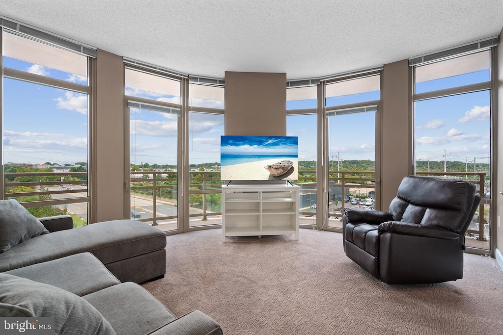 living room with expansive windows, carpet, and a textured ceiling