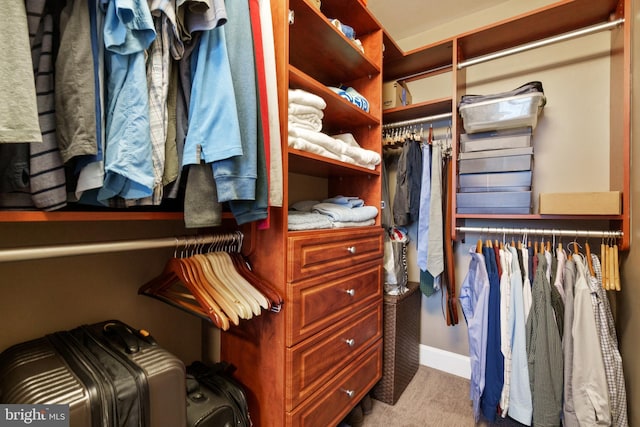 spacious closet featuring light colored carpet