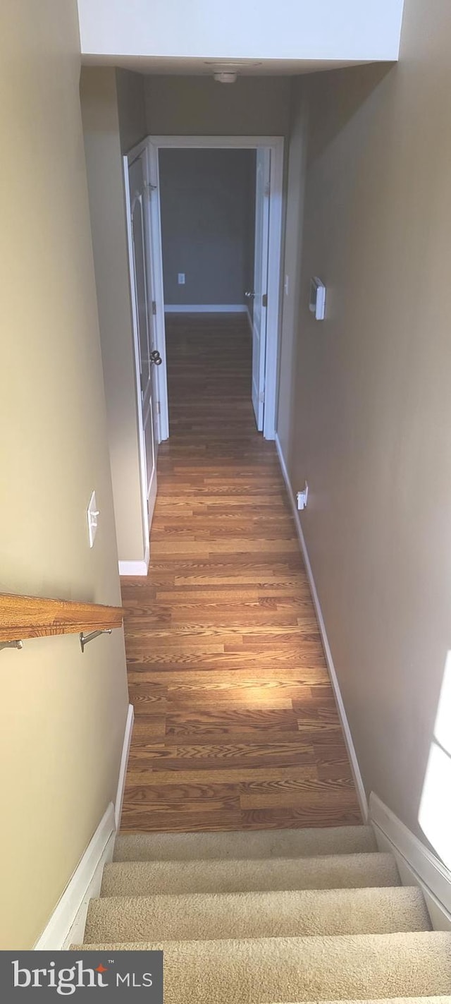 stairway with wood-type flooring