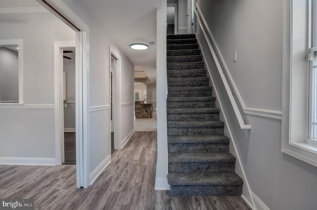 staircase with hardwood / wood-style floors