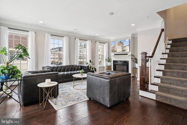 living room featuring crown molding and dark hardwood / wood-style floors